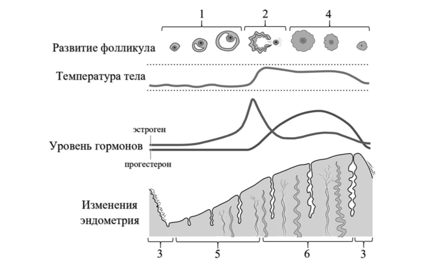 Иллюстрация к заданию 44664