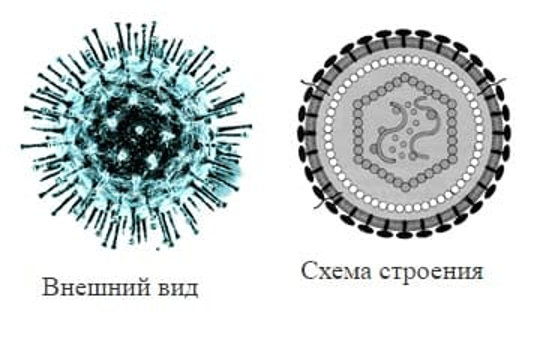 Иллюстрация к заданию 21728