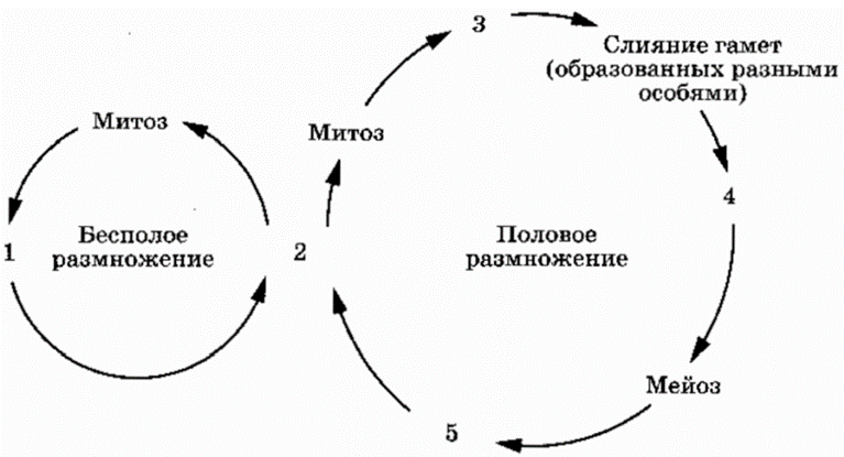 Иллюстрация к заданию 35848