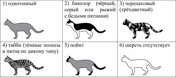 ОГЭ по биологии