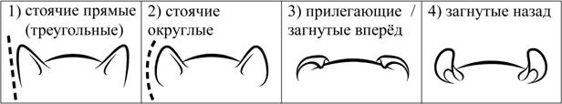 ОГЭ по биологии