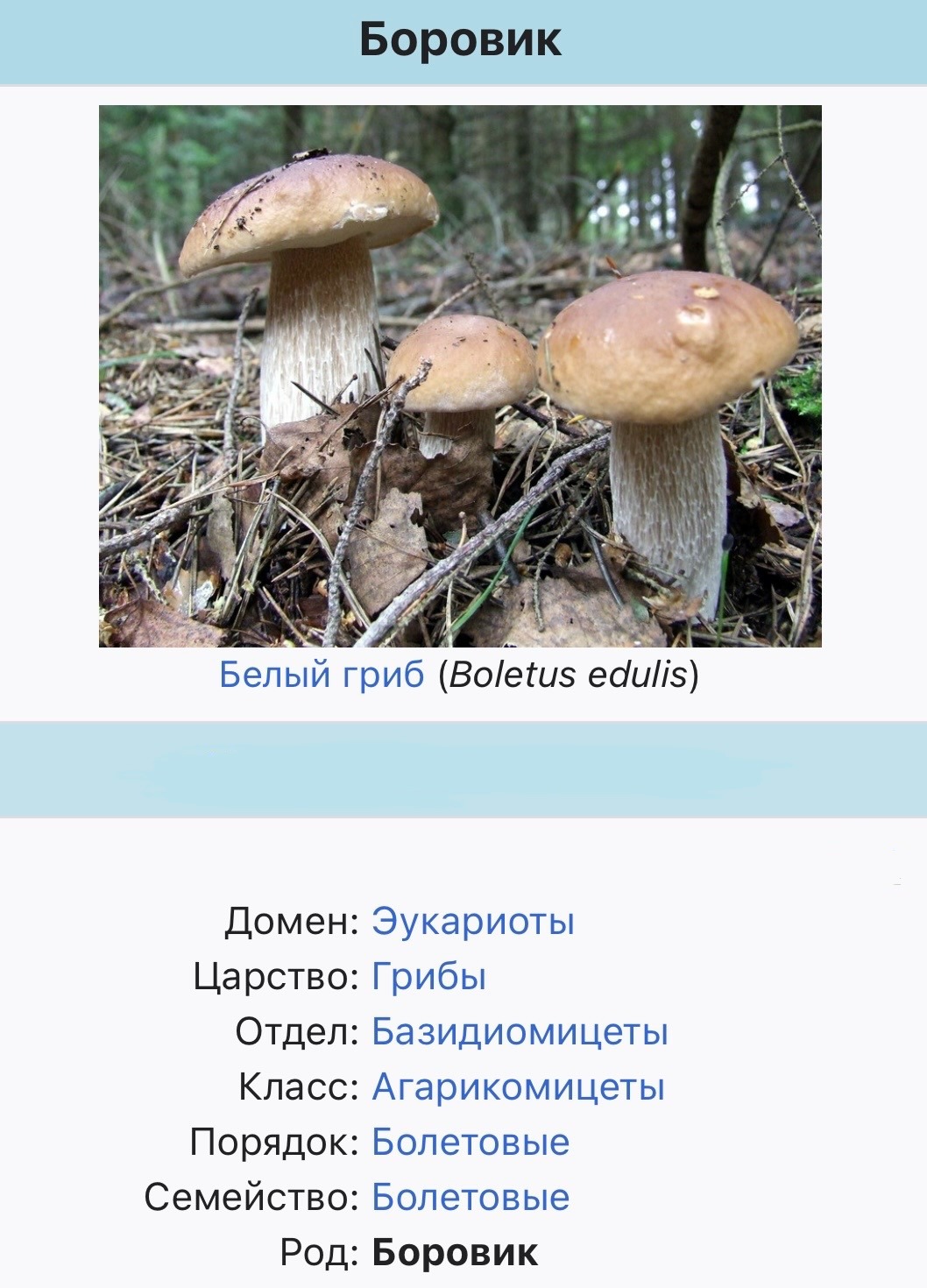 Иллюстрация к заданию 48172