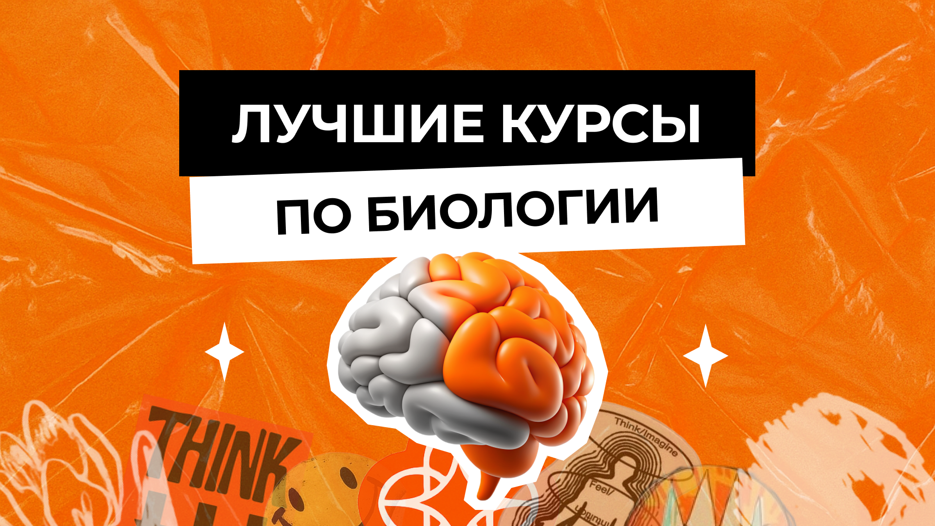 Лучшие курсы ЕГЭ по биологии 2026