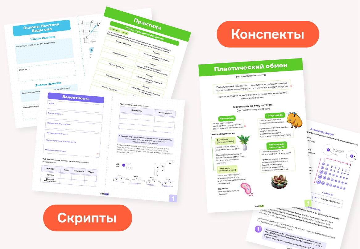 Все нужные материалы к экзамену по биологии в 11 классе