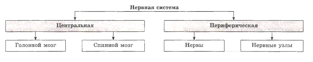 Иллюстрация к статье