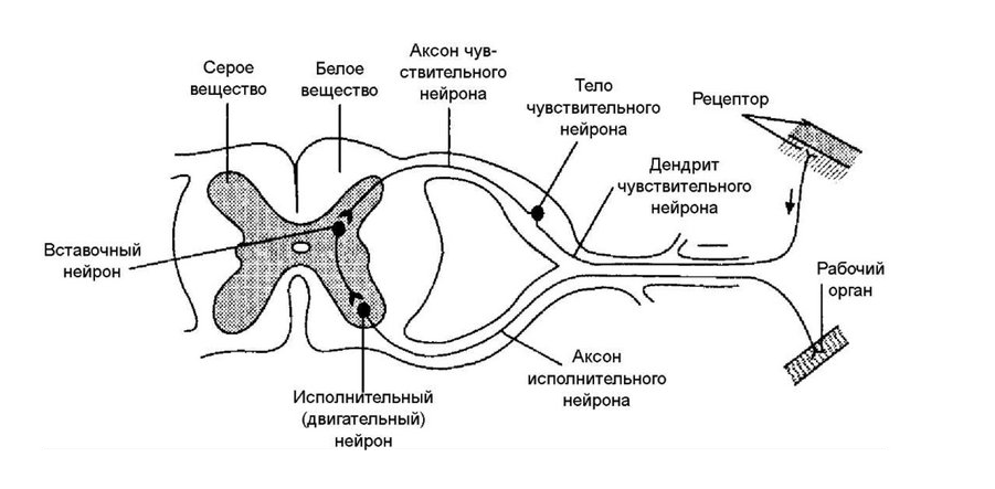 Иллюстрация к статье