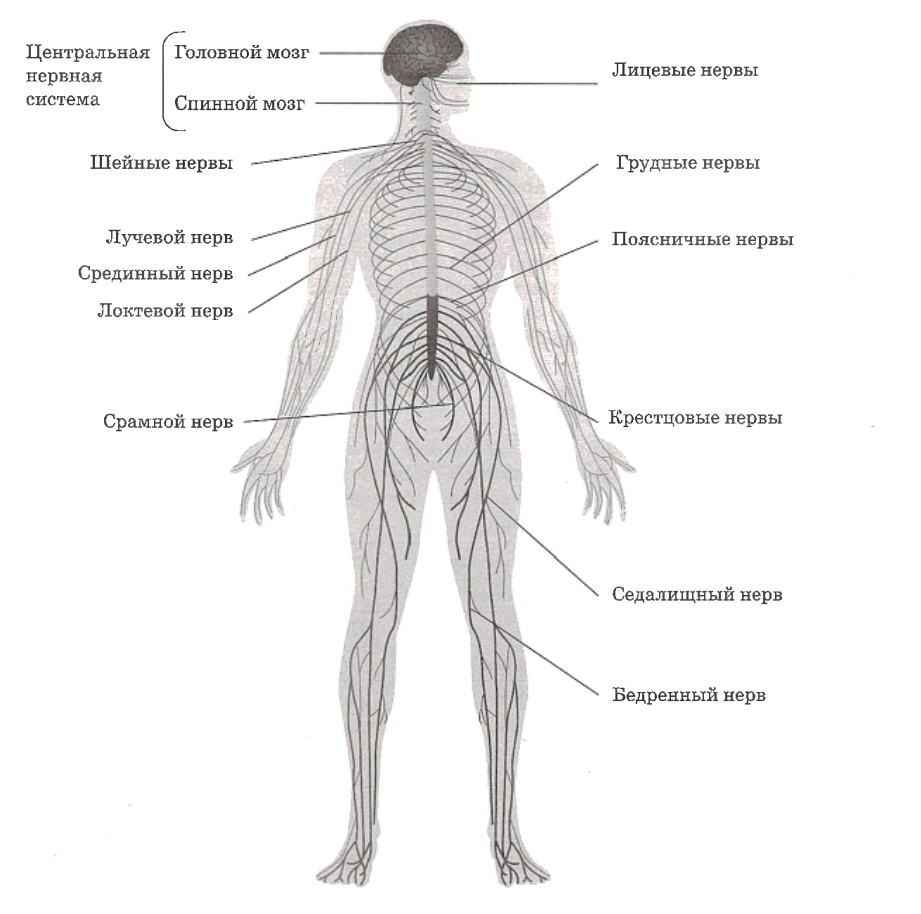 Иллюстрация к статье