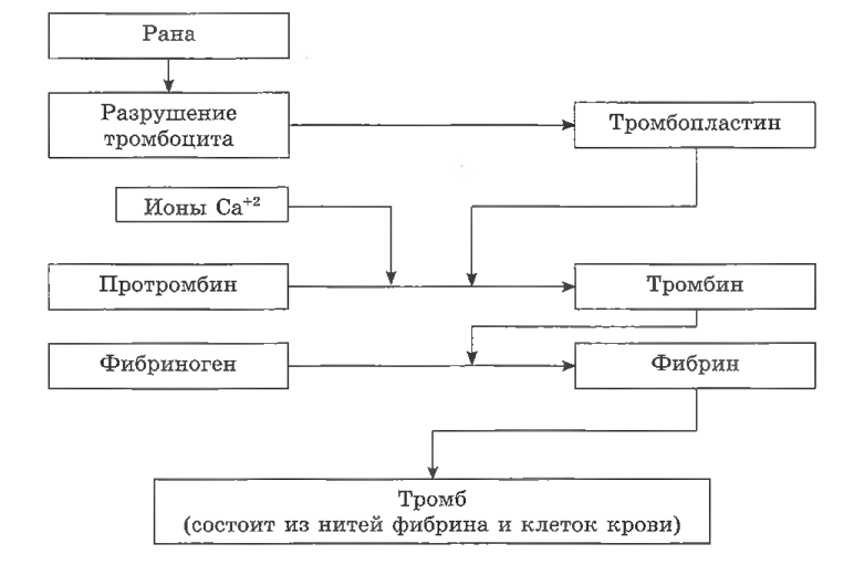 Иллюстрация к статье