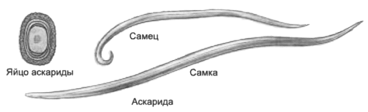 Иллюстрация к статье